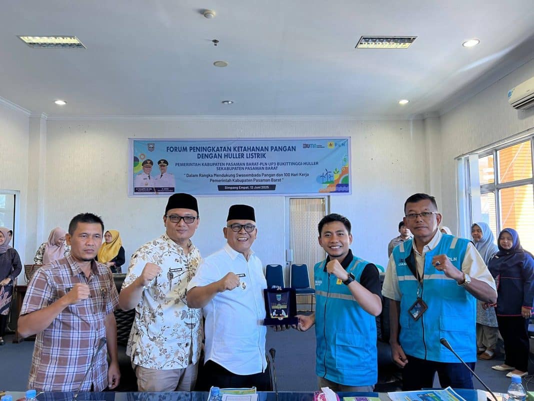 DTPH PLN
