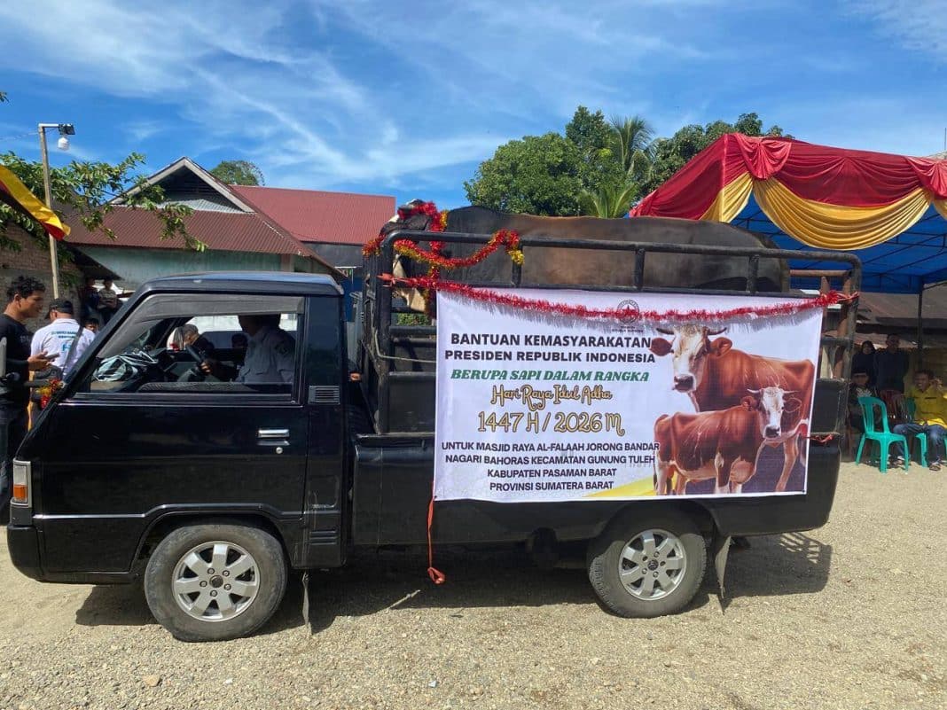 Sapi Kurban