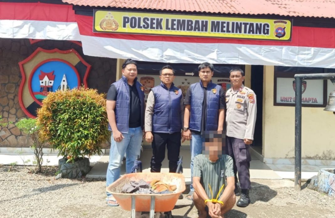 sikat