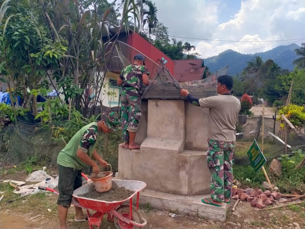 TMMD