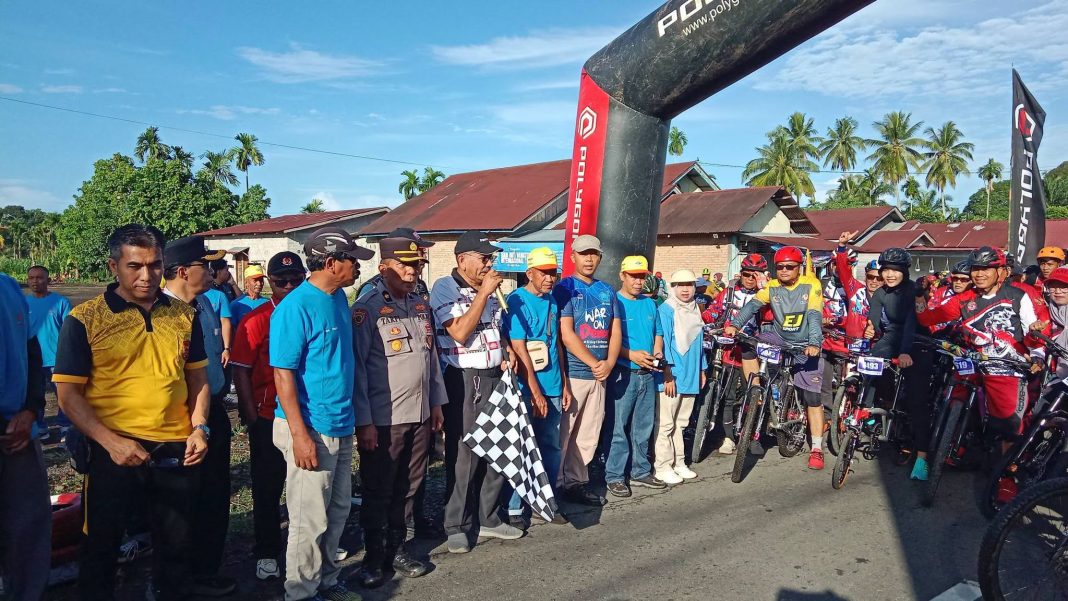 gowes