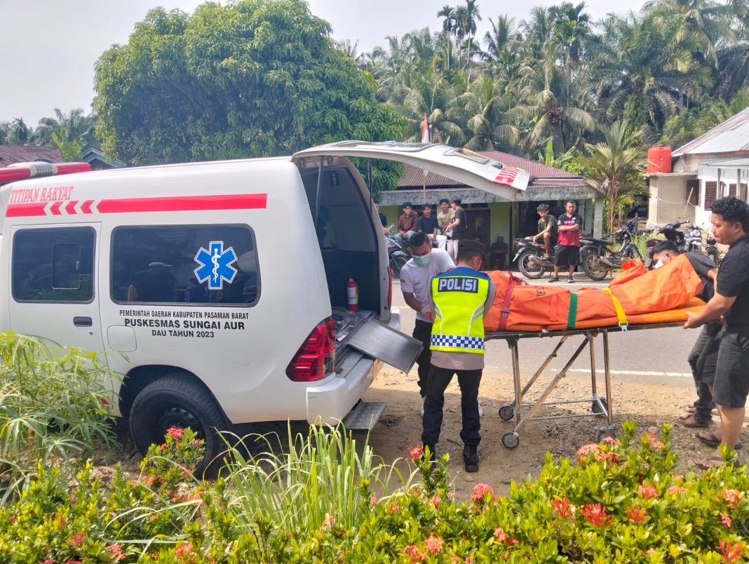 pasaman barat