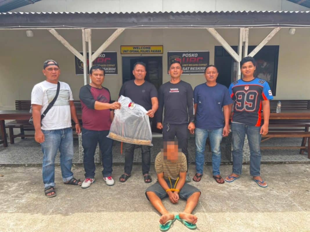 Pasaman Barat